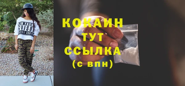 мескалин Заводоуковск