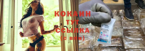 мескалин Заводоуковск